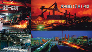 武漢鋼鐵公司硅鋼片廠